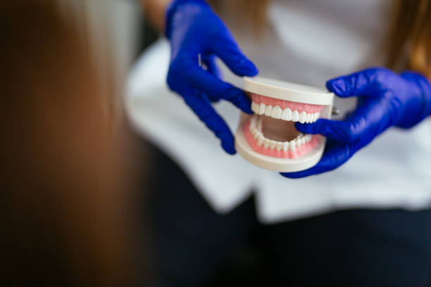  St Petersburg, FL Holistic Dental Services Pros