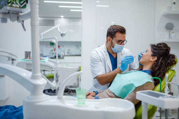 Professional  Holistic Dental Services in St Petersburg, FL